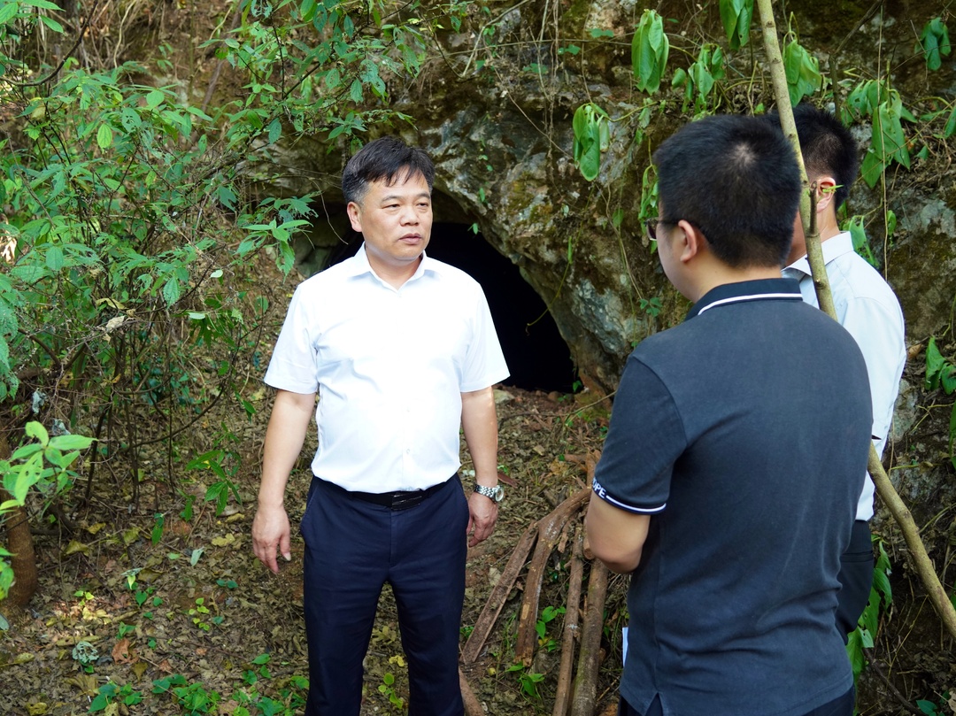 杨学锋深入公坪镇、罗旧镇、水宽乡调研督导重点工作