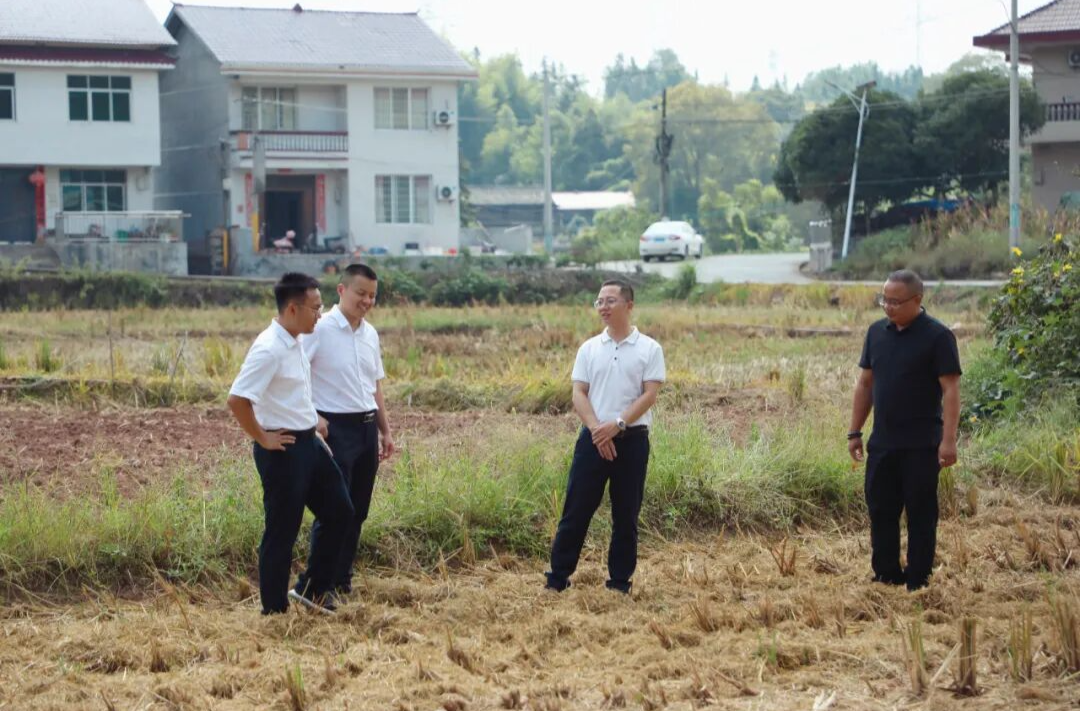 夏崇源到公坪镇调研