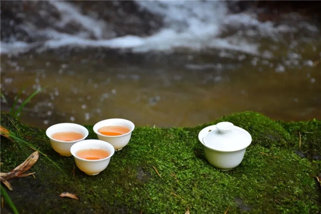 凤凰单丛避坑指南：2026新手盯紧这几点，选茶不花冤枉钱