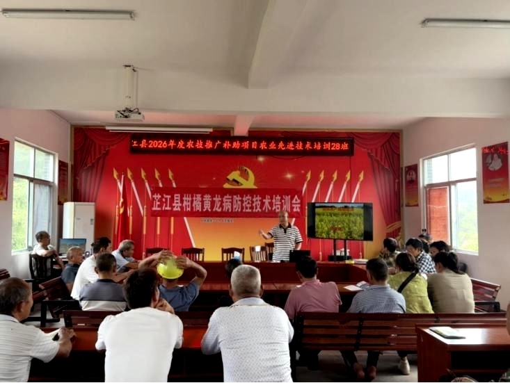 岩桥镇开展农技推广补助项目农业先进技术培训