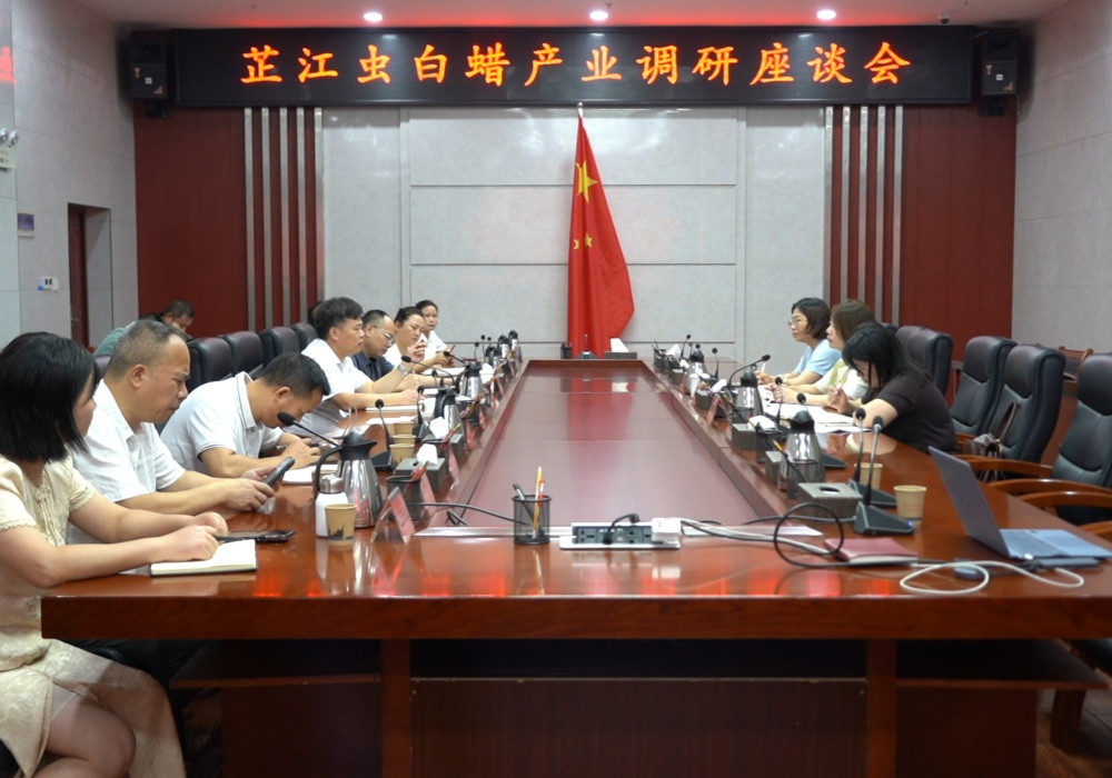 芷江虫白蜡产业调研座谈会召开