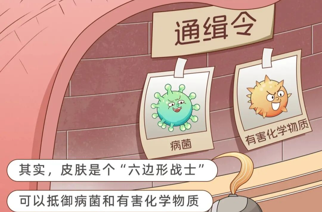 它是人体最大的器官，但却常常被人忽视