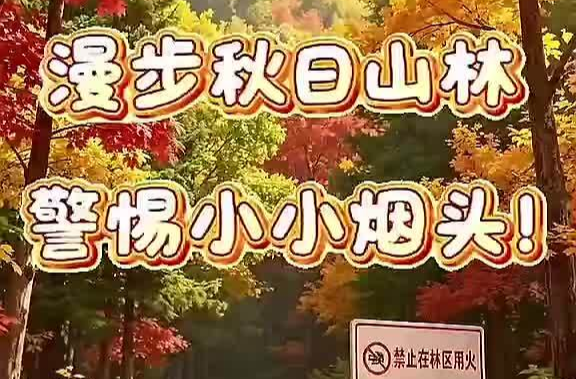视频丨漫步秋日山林 警惕小小烟头！