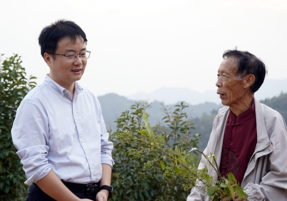 林涛在大树坳乡调研
