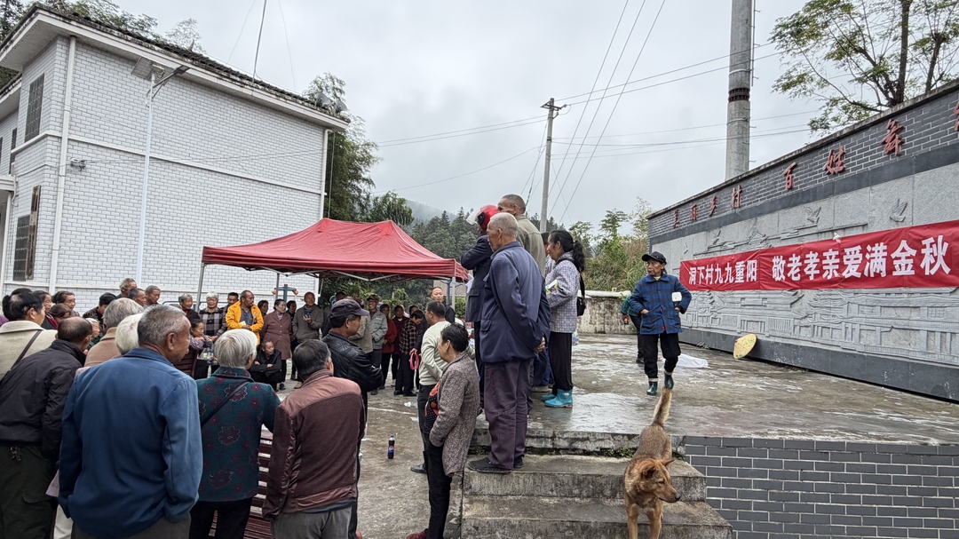 土桥镇：活鸡当奖品！洞下村这场重阳“土味”套圈乐翻全场