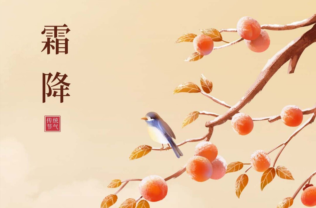 海报丨今日，霜降