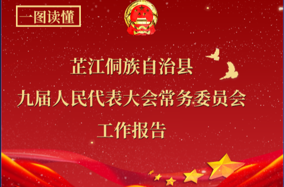 一图读懂｜芷江侗族自治县九届人民代表大会常务委员会工作报告