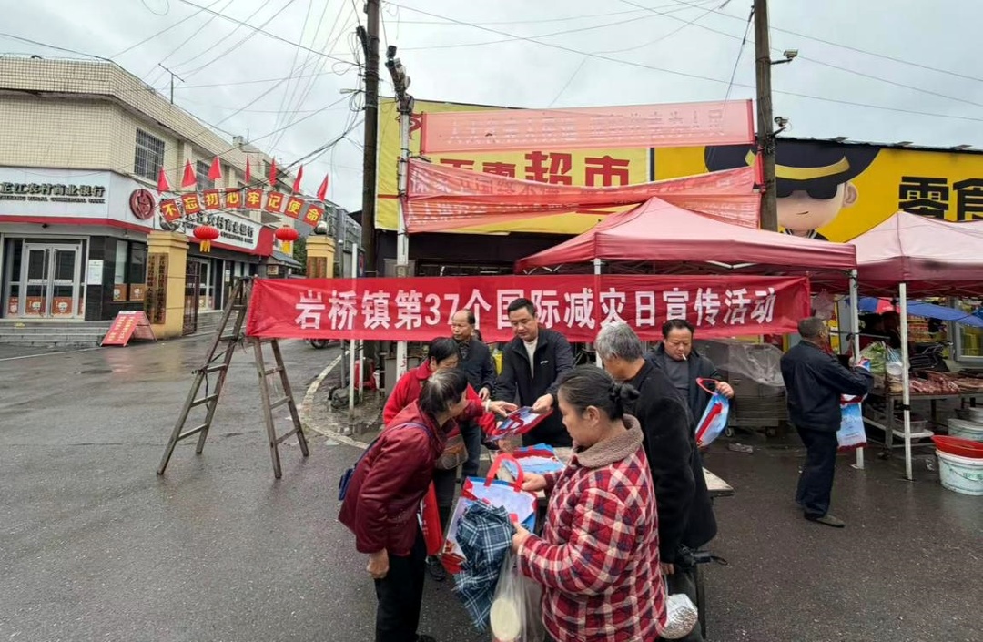 岩桥镇开展防灾减灾集中宣传活动