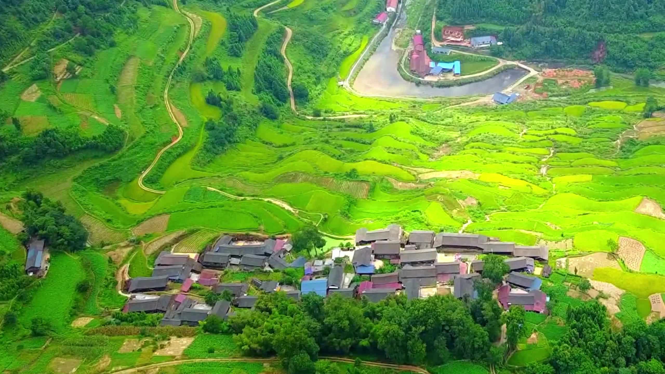 "芷江碧涌 黄畲歌会"直播预告