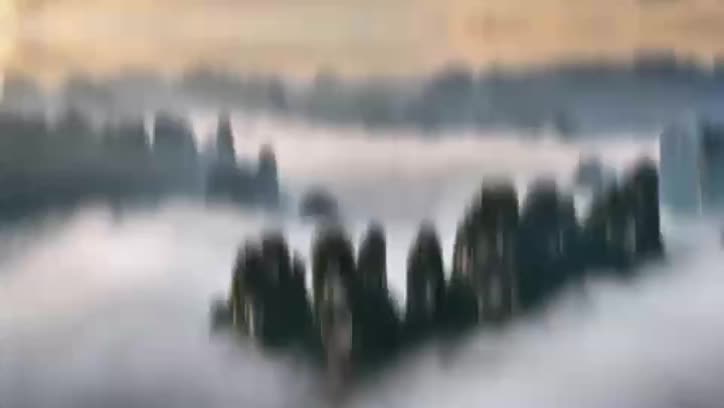 风起湖湘潮·委员讲亲历丨吴建宏：走进芷江 触摸受降历史的滚烫记忆